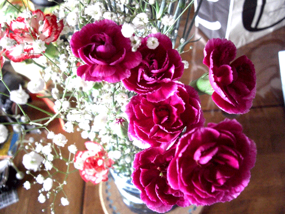 c0095679_22131987.gif