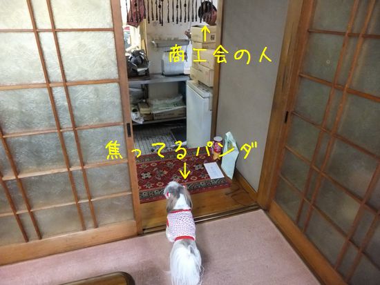 雷が落ちました あゆみらなの