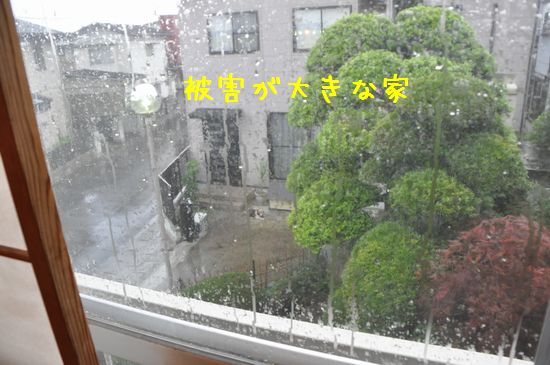 雷が落ちました あゆみらなの