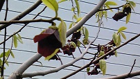 e0202182_16132464.jpg
