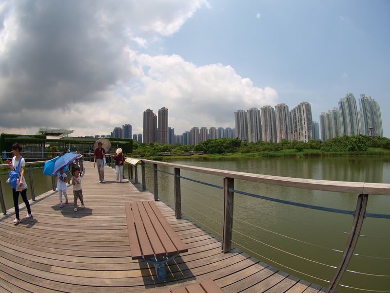 b0108186_20172554.jpg