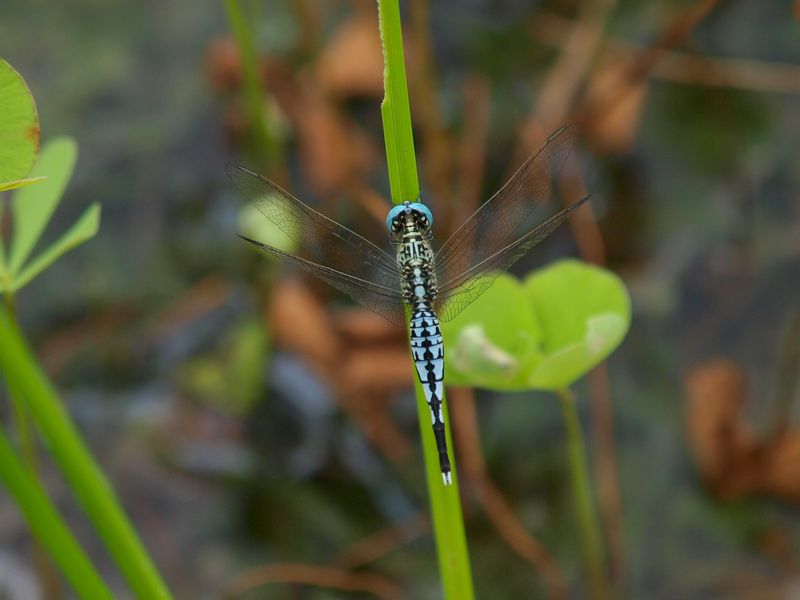 b0108186_2241487.jpg