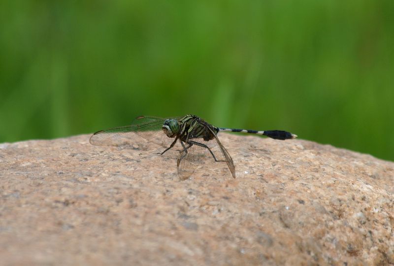 b0108186_22474924.jpg