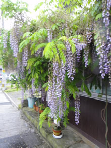 d0132289_0144936.jpg