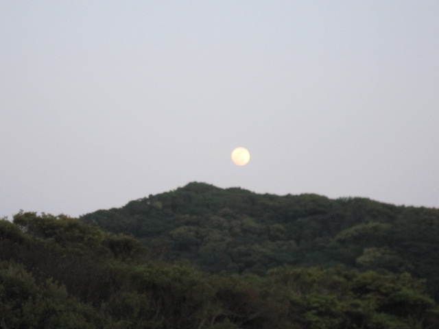 a0170390_4233568.jpg