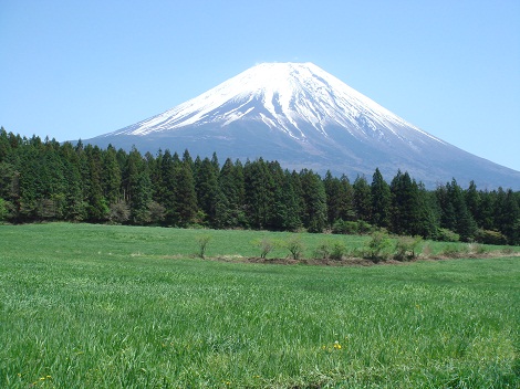 c0034391_11115212.jpg