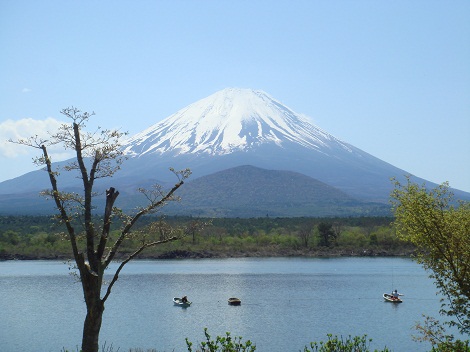 c0034391_1111642.jpg