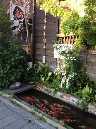 c0095308_12562998.jpg