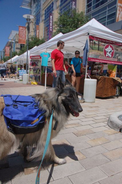 Doggy Party at Plaza_f0227709_15294054.jpg