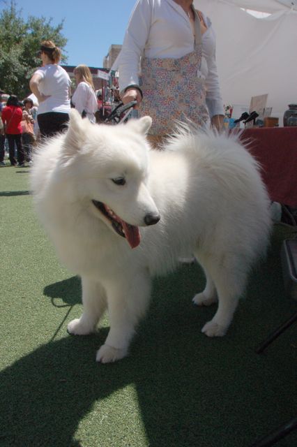 f0227709_1532499.jpg
