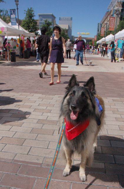 Doggy Party at Plaza_f0227709_15364876.jpg