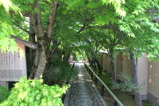 鷹ヶ峰新緑　常照寺と光悦寺　_e0048413_2128486.jpg