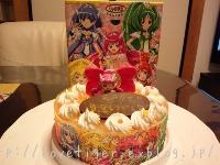 プリキュアケーキ_c0101524_916098.jpg