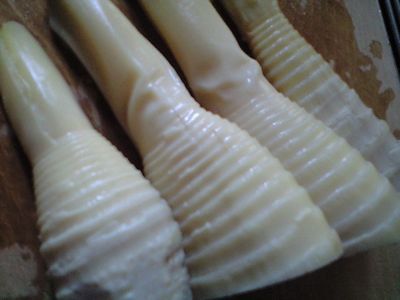 d0217726_12125352.jpg