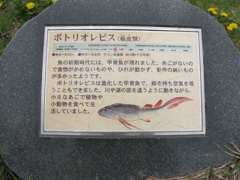 f0076731_2126717.jpg