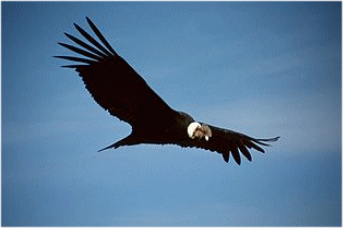 b0213435_234436100.gif