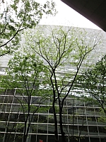 リーガル・ハイ「太陽を返せ!マンション裁判仁義なき戦い」_e0080345_8113287.jpg