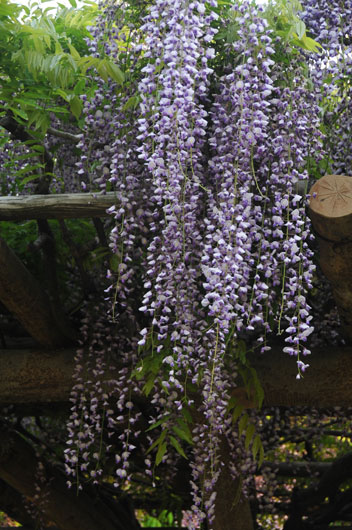 c0093046_1833756.jpg