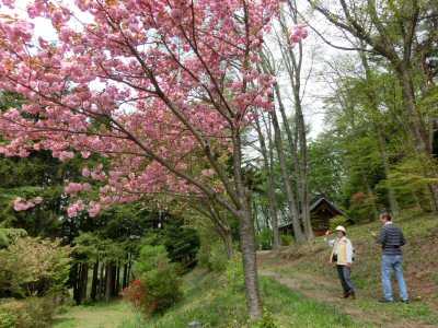 富士見町の湧水を訪ねて_f0019247_17584177.jpg