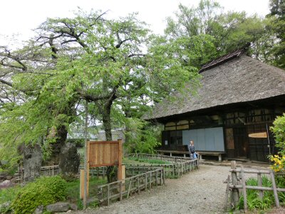 富士見町の湧水を訪ねて_f0019247_180254.jpg