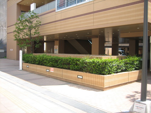 e0239948_2342628.jpg