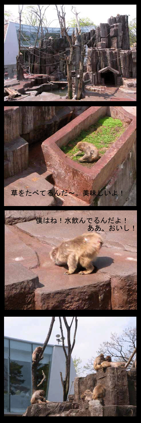 ５月９日　円山動物園_b0176650_235567.gif