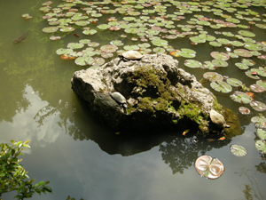 a0250454_03867.jpg