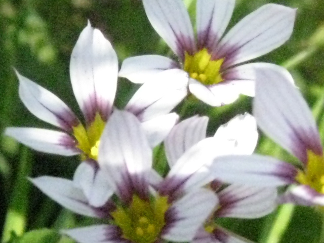 c0185858_21269.jpg