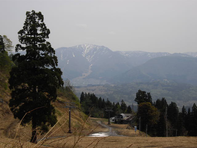 d0116059_14431229.jpg