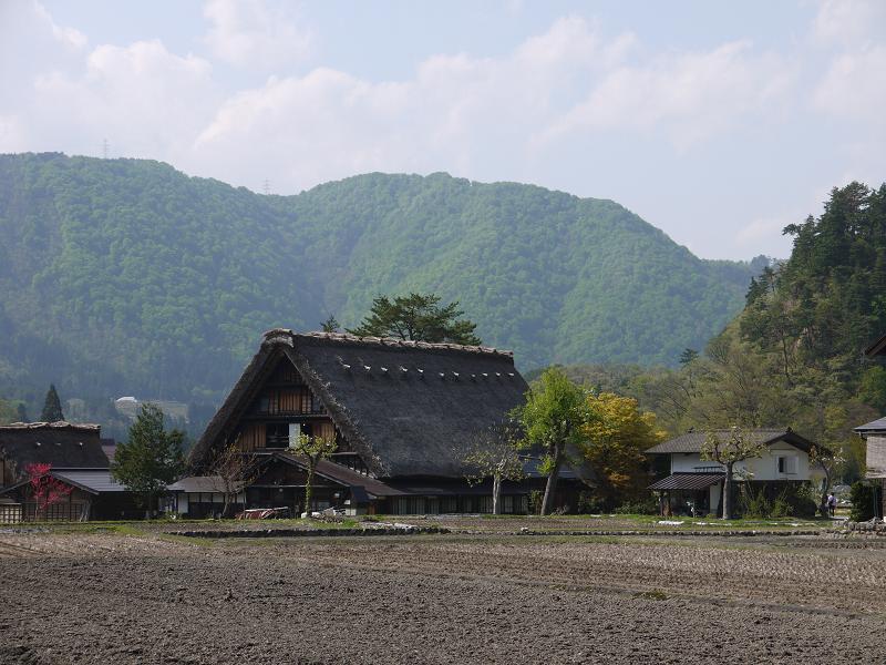 e0244967_142175.jpg