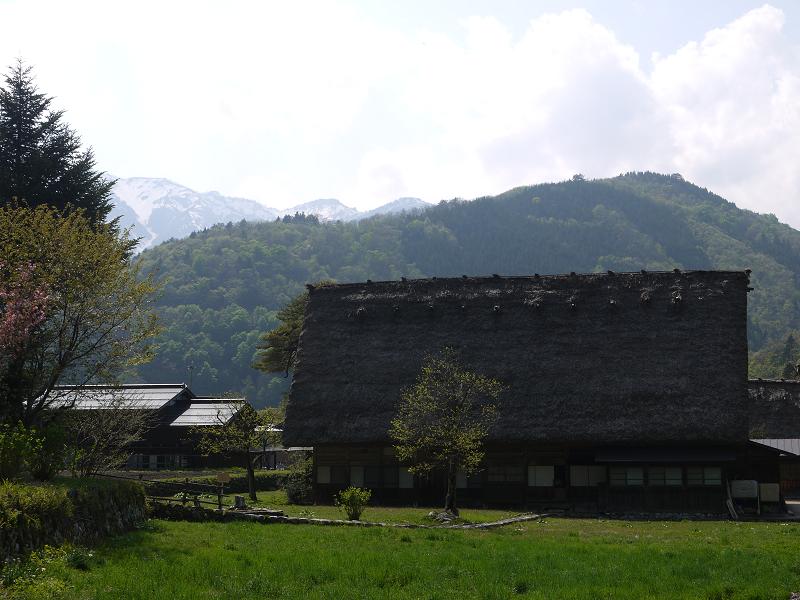 e0244967_14983.jpg