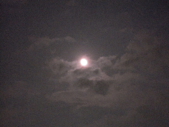 スーパームーン・・・?_e0033570_22353244.jpg