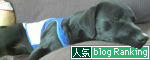 f0189870_13543091.jpg