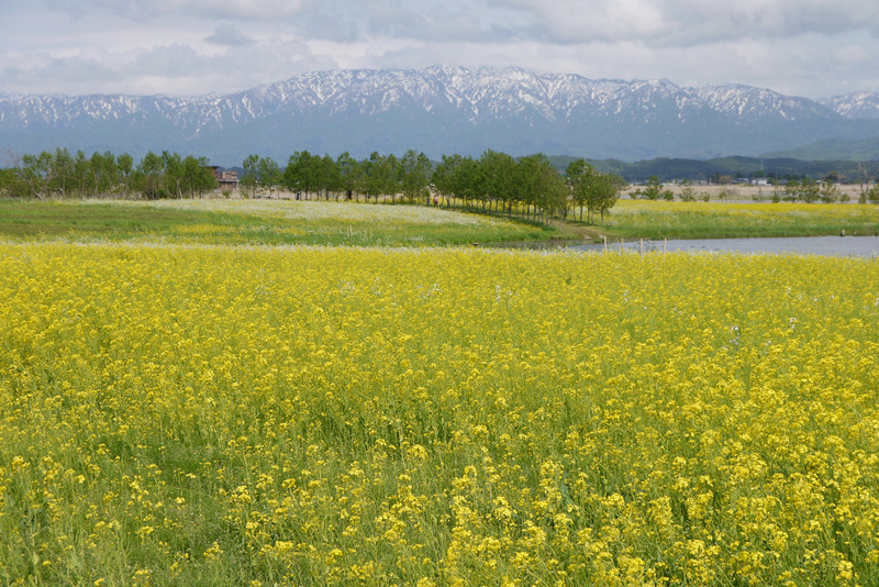 #12- Gougai （号外）　　2012　GW  山形・新潟　_b0065572_02161.jpg