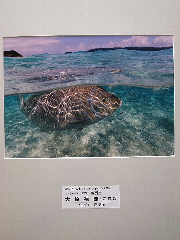 お料理評論家になりませんか。_b0141773_23213496.jpg