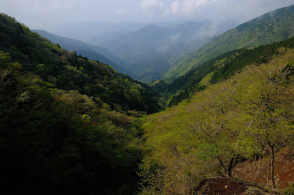 f0238475_22051.jpg