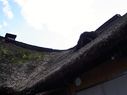 素敵な美容院_f0236291_11241981.jpg