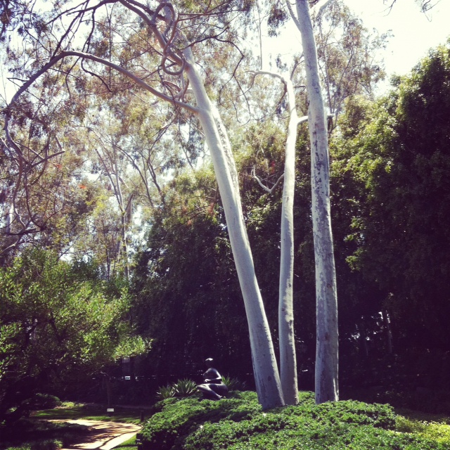 e0161692_401040.jpg
