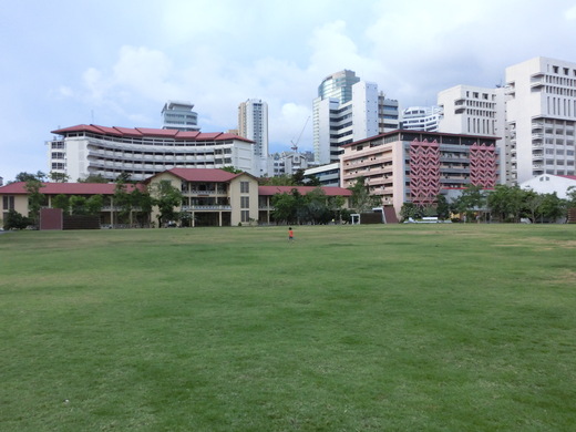 f0138995_14392582.jpg