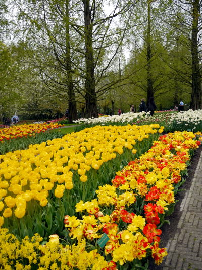 c0090198_264573.jpg