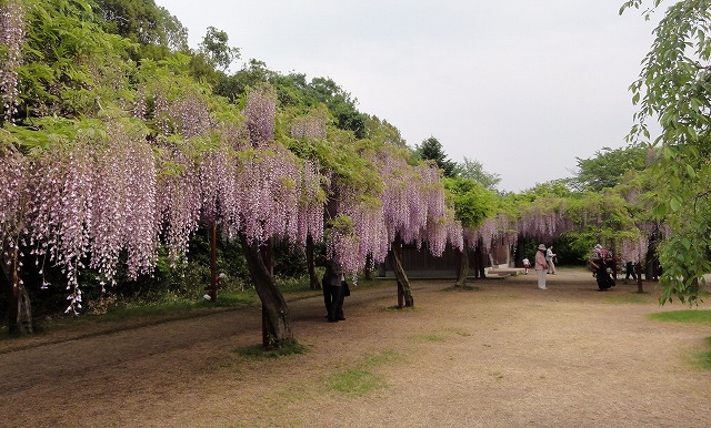 c0125501_2244131.jpg