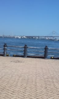 人材の枯渇は言い過ぎ?_f0063203_18211924.jpg