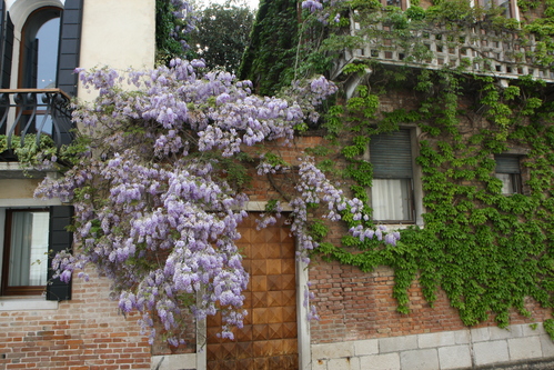 イタリア紀行 DUE Vade a Venezia_a0194908_1455698.jpg