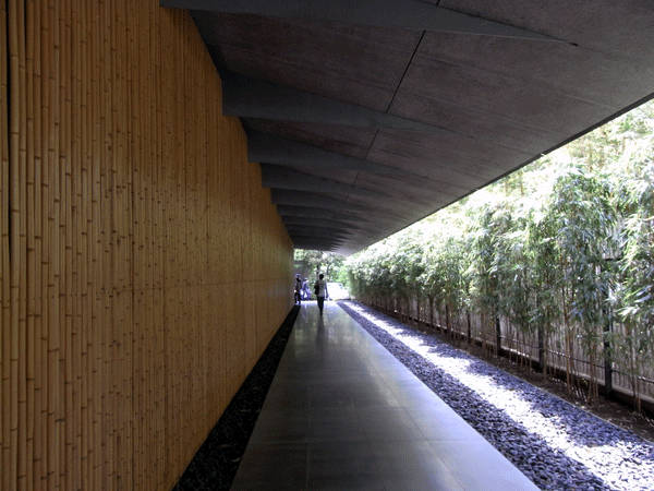 a0210108_23155565.gif