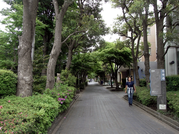 a0210108_2320329.gif