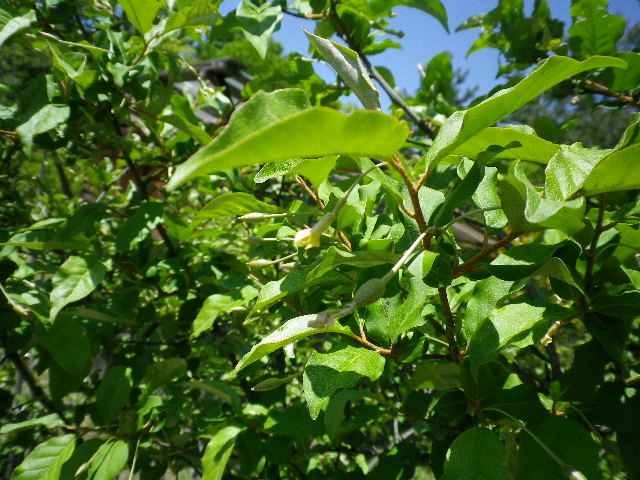 e0179508_13111050.jpg