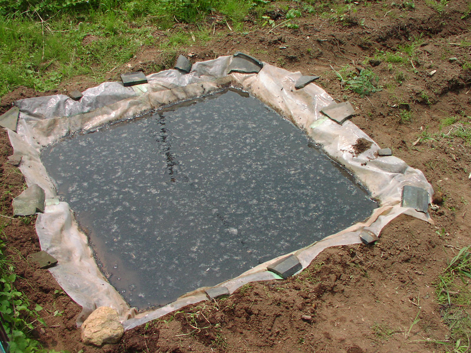 f0164410_20575087.jpg