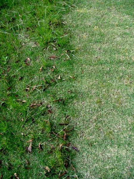 e0034012_19153386.jpg