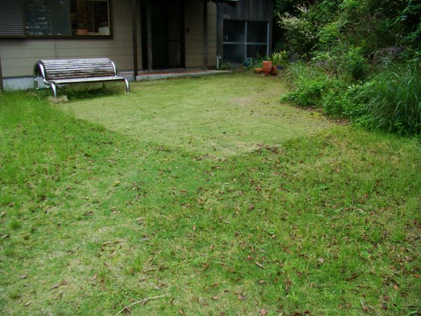 e0034012_19162265.jpg