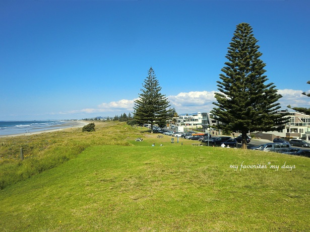 d0181213_8541440.jpg